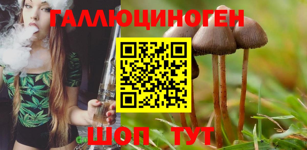 Боровичи  Галлюциногенные грибы мухоморы  Вход с VPN 